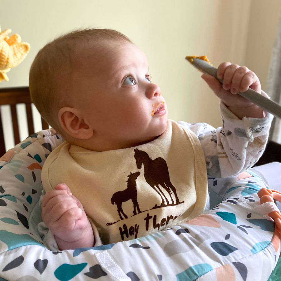 Horse Baby Bib