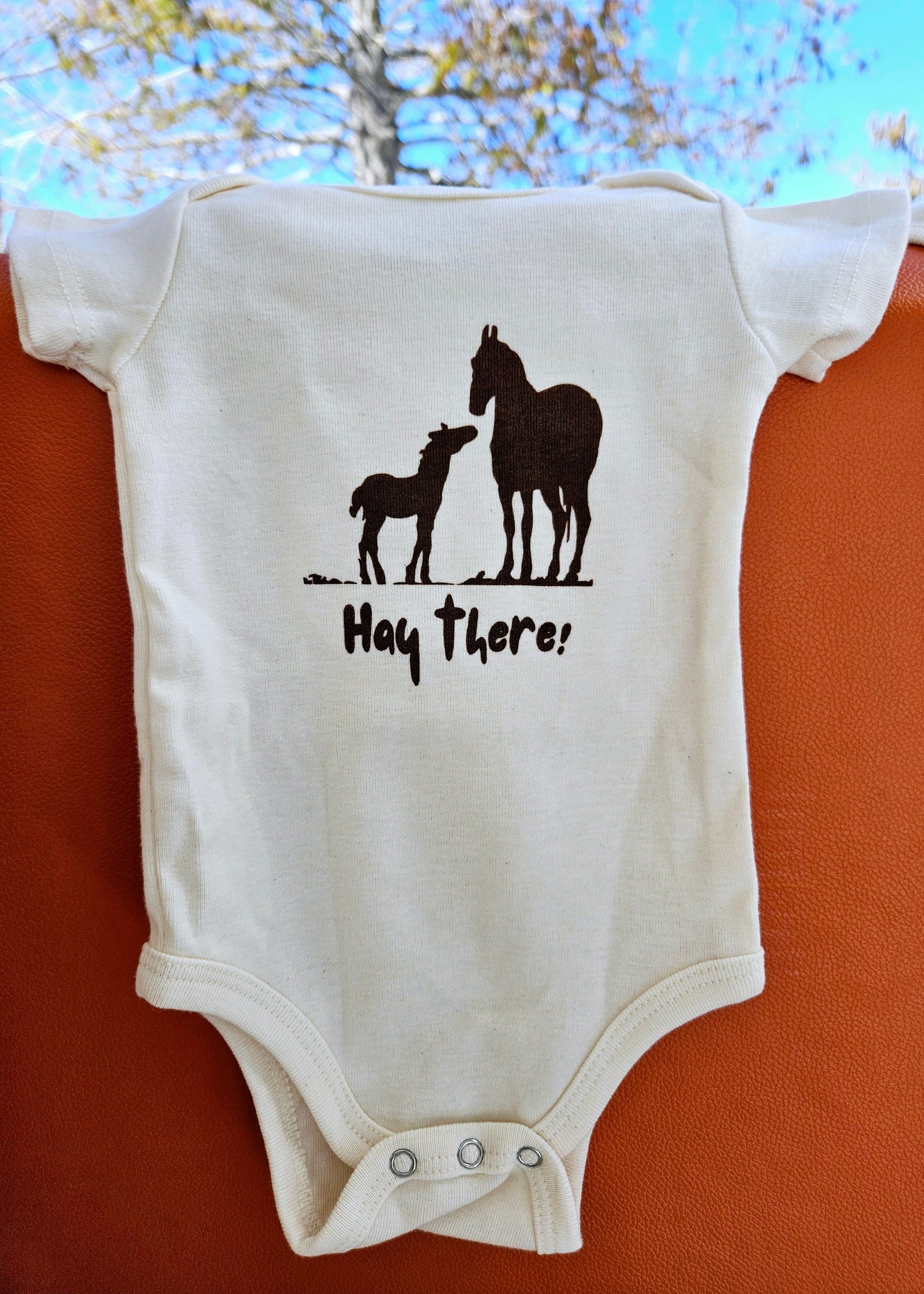Hay There Short Sleeve Romper