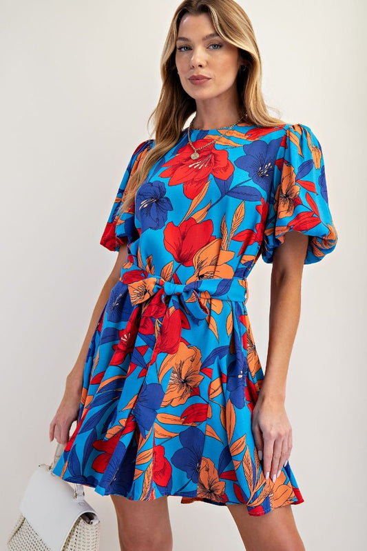 Kennedy Floral Printed Skater Dress English Blue